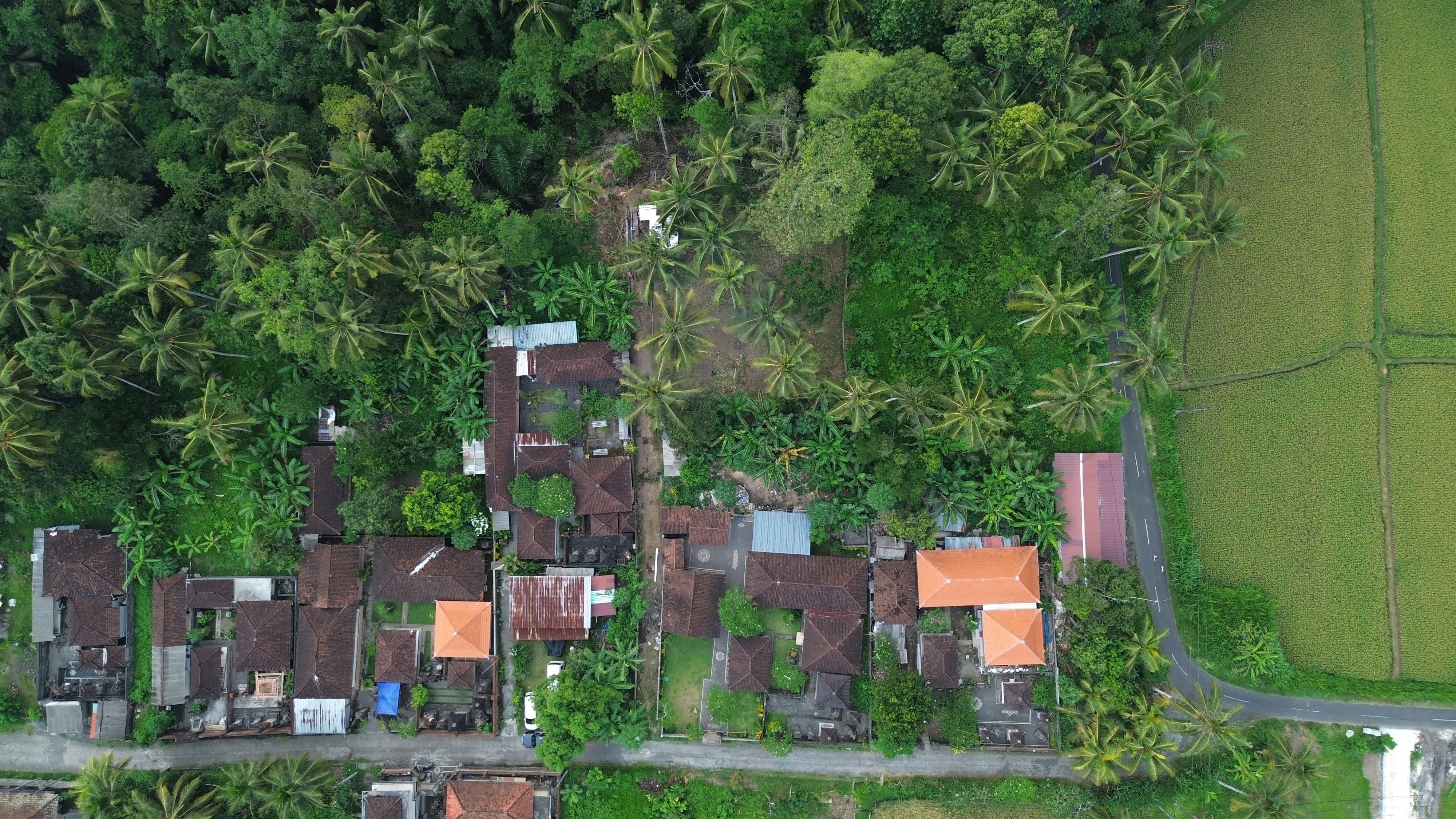 Ubud Forest Villas